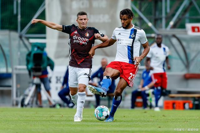 无一例外都 无一例外都