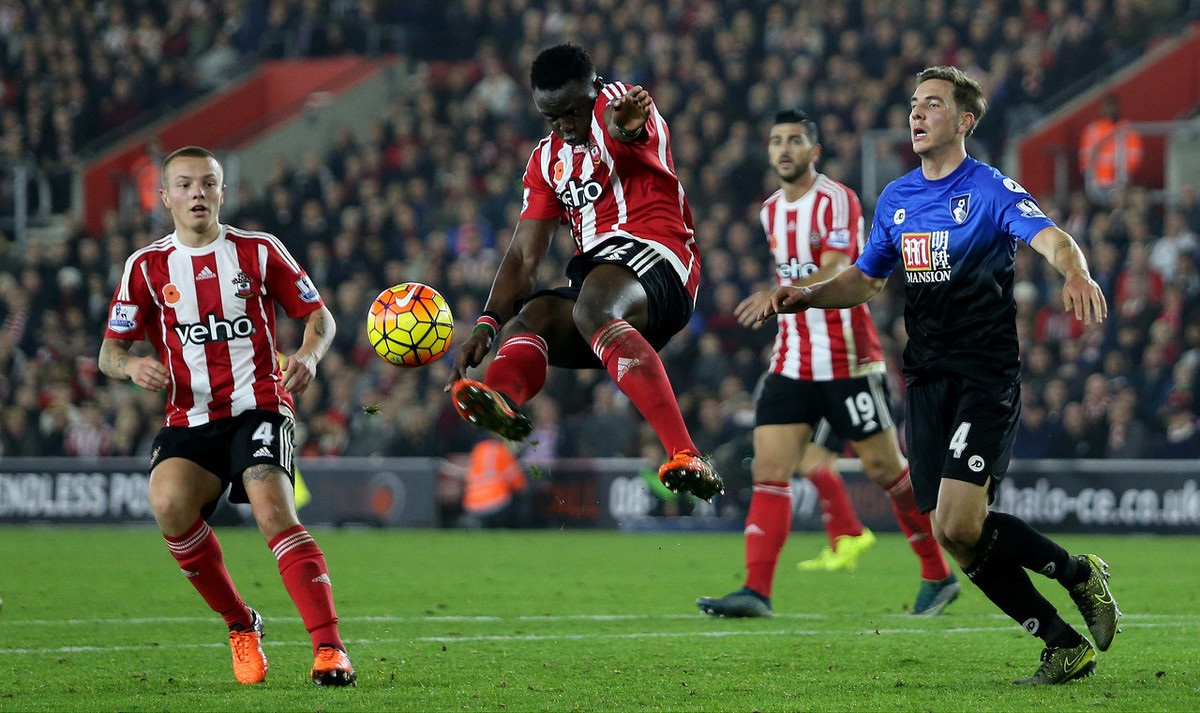 仅获得了可 仅获得了可