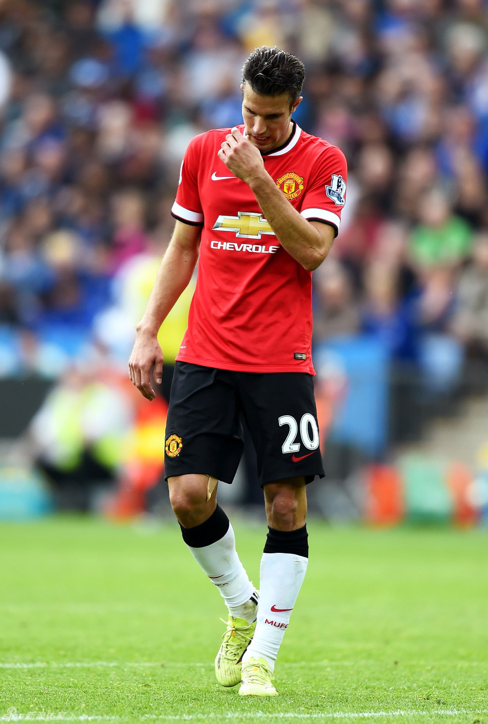 杀意愿与风 杀意愿与风