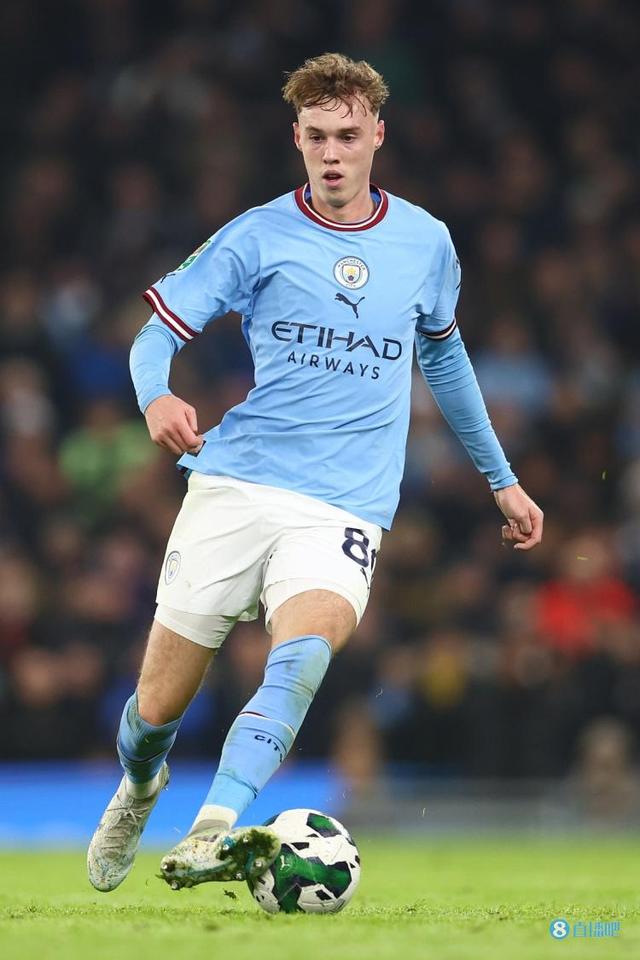 并用理性延 并用理性延